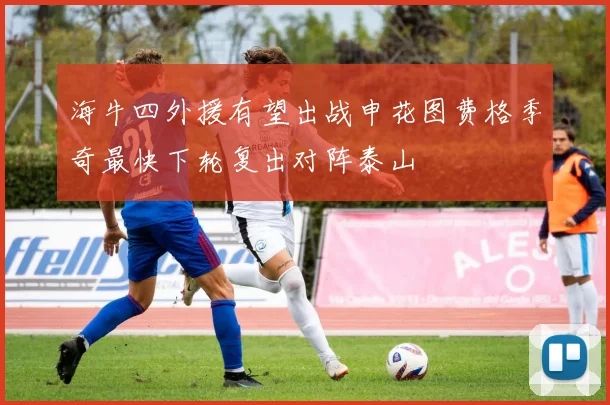 海牛四外援有望出战申花图费格季奇最快下轮复出对阵泰山